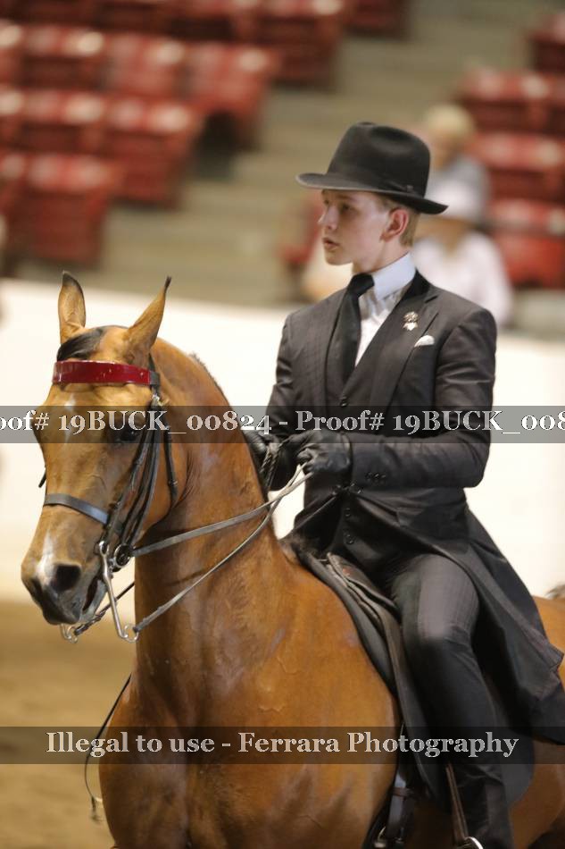 Proof 19BUCK_00824