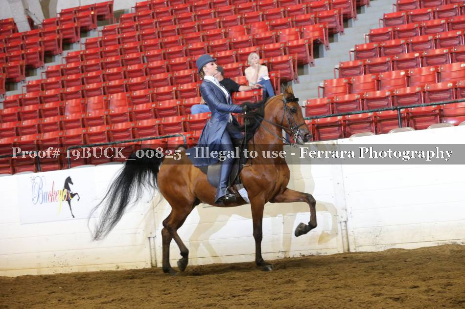 Proof 19BUCK_00825