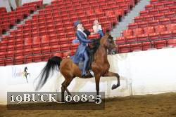 19BUCK_00825 proof