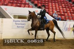 19BUCK_00828 proof