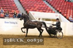 19BUCK_00830 proof
