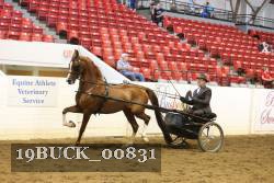 19BUCK_00831 proof