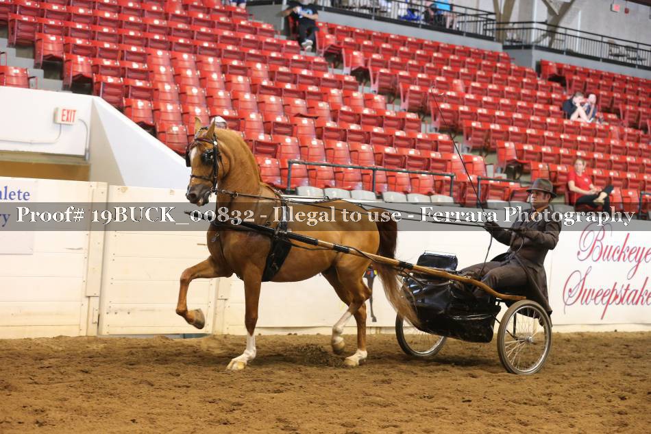 Proof 19BUCK_00832