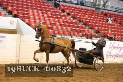 19BUCK_00832 proof