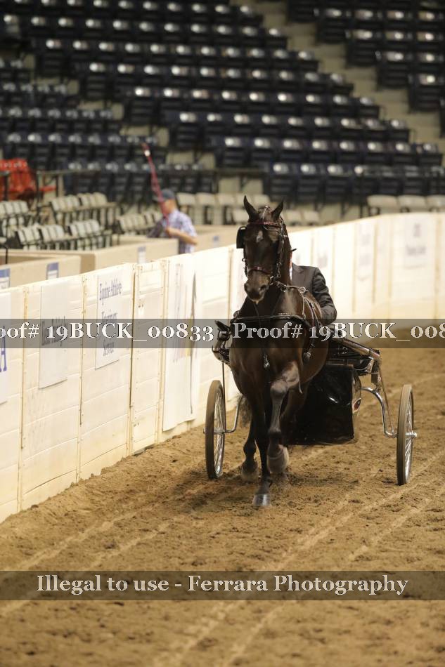 Proof 19BUCK_00833