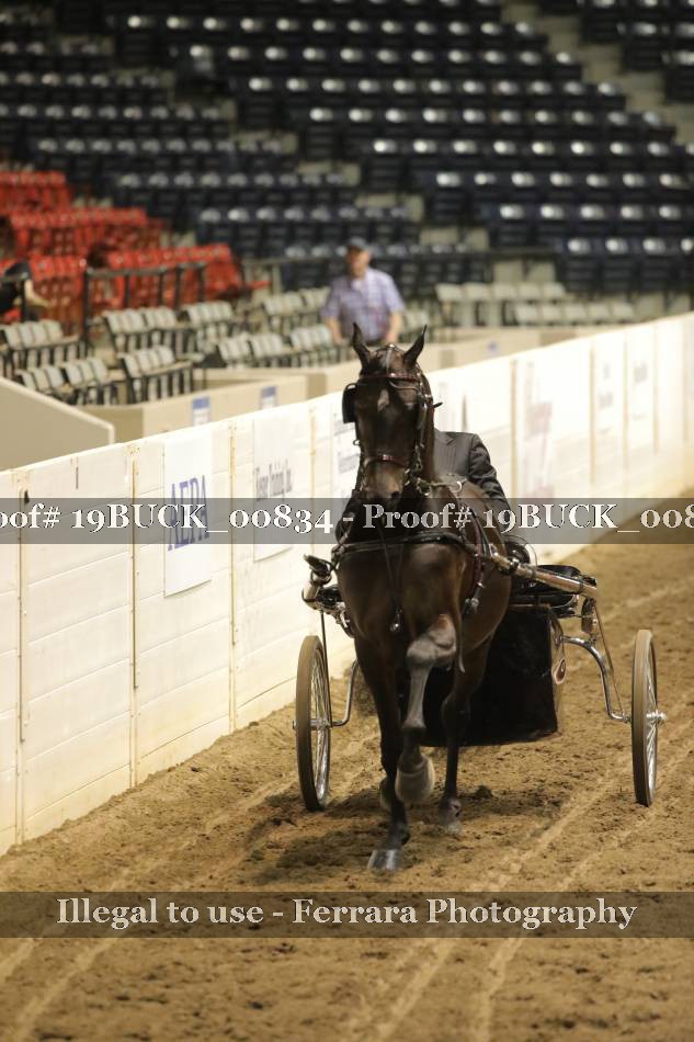 Proof 19BUCK_00834