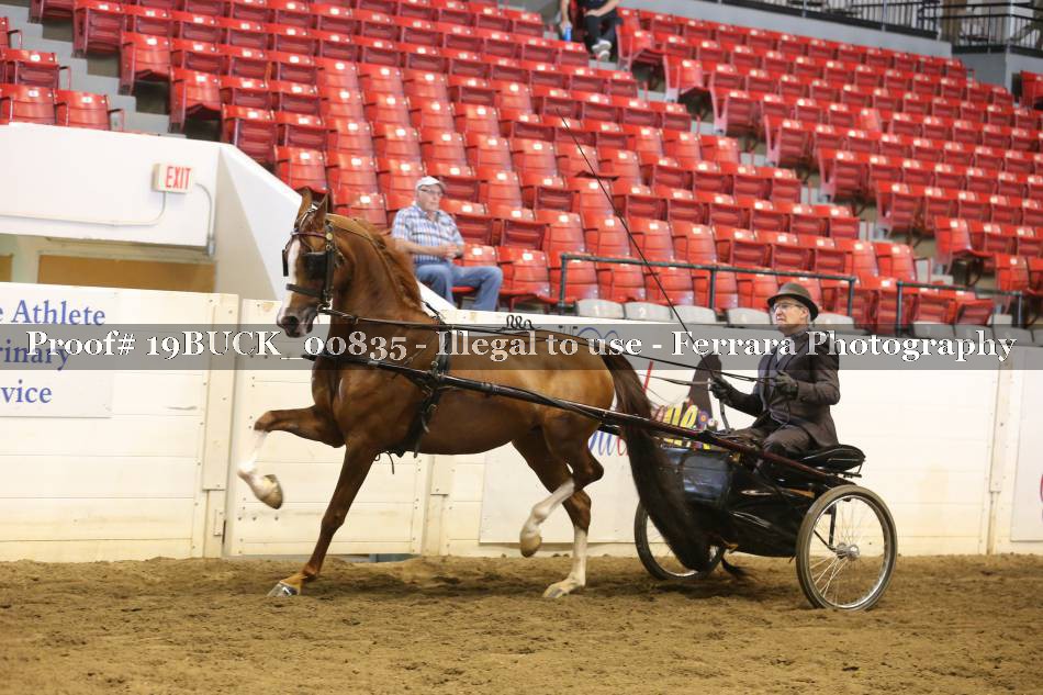 Proof 19BUCK_00835