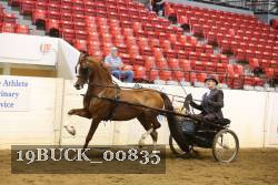 19BUCK_00835 proof
