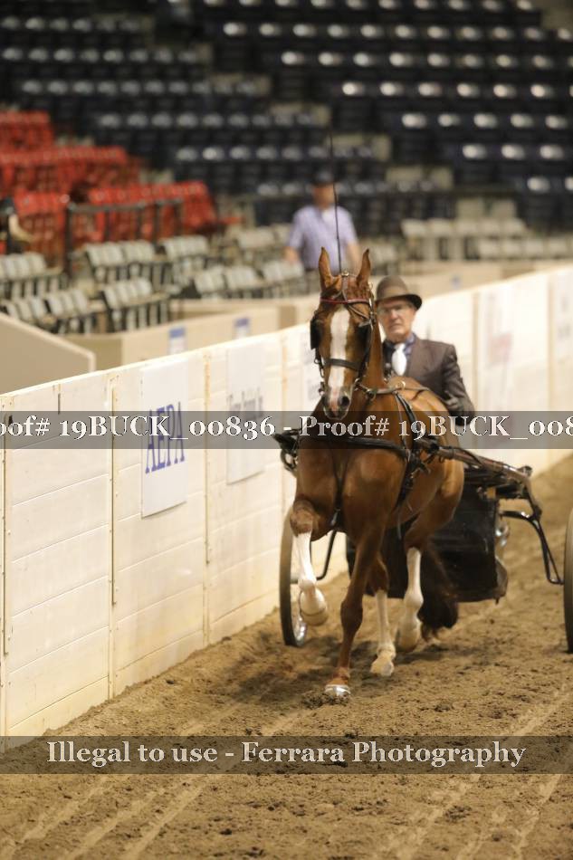 Proof 19BUCK_00836