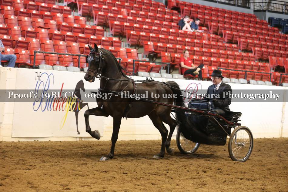 Proof 19BUCK_00837