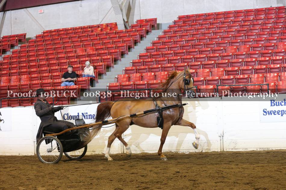 Proof 19BUCK_00838