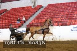 19BUCK_00838 proof