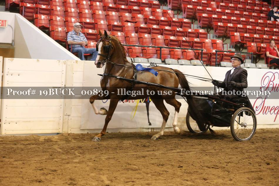 Proof 19BUCK_00839