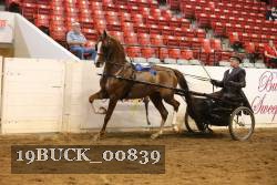 19BUCK_00839 proof