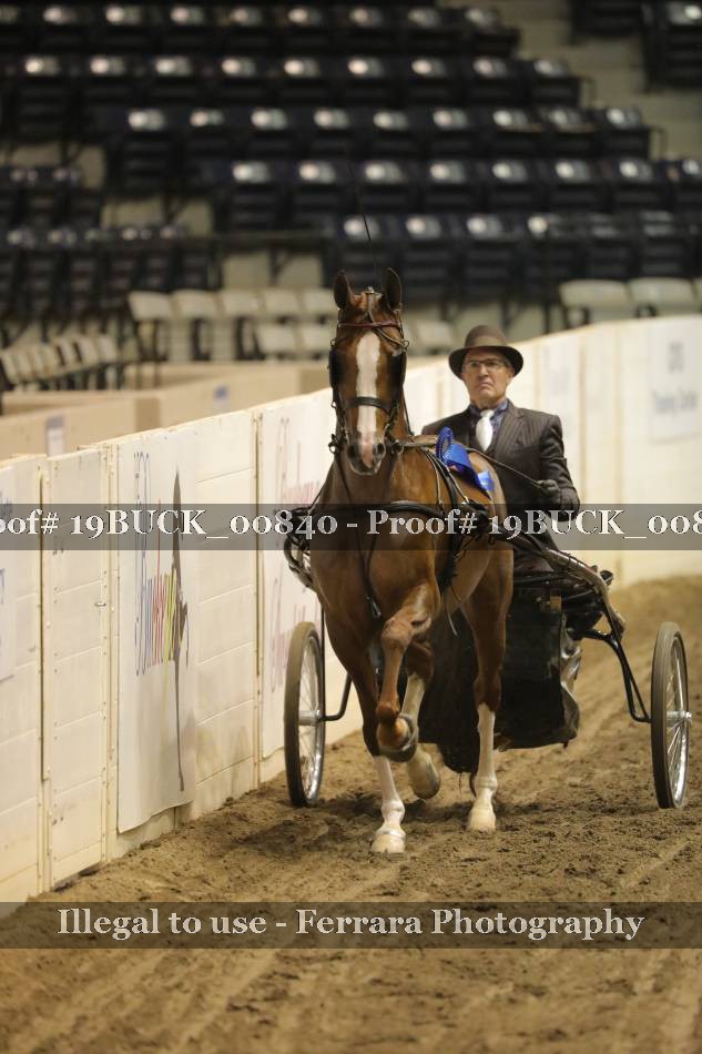 Proof 19BUCK_00840