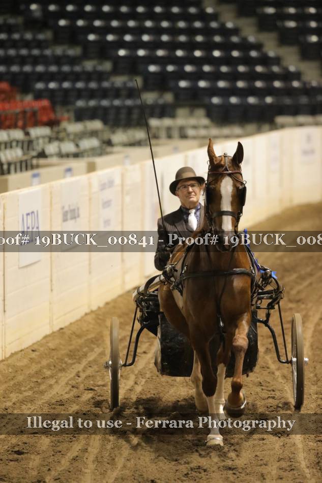 Proof 19BUCK_00841