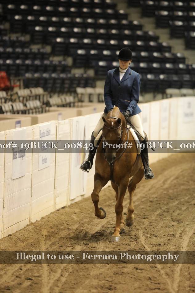 Proof 19BUCK_00843