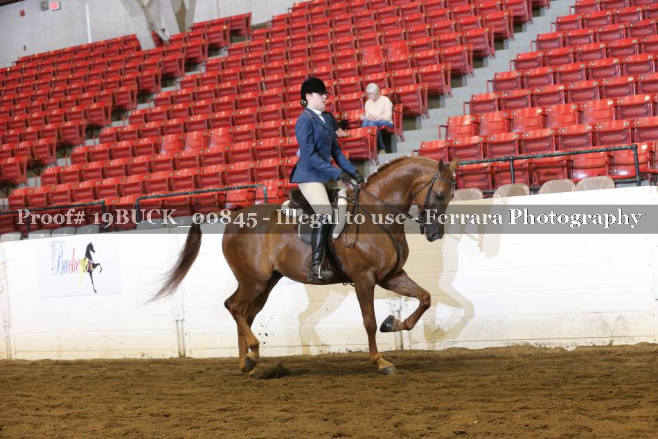 Proof 19BUCK_00845