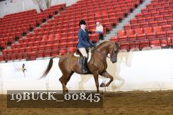 19BUCK_00845 proof