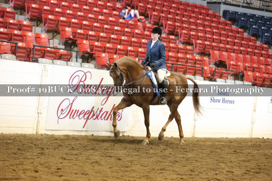 Proof 19BUCK_00847