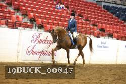19BUCK_00847 proof
