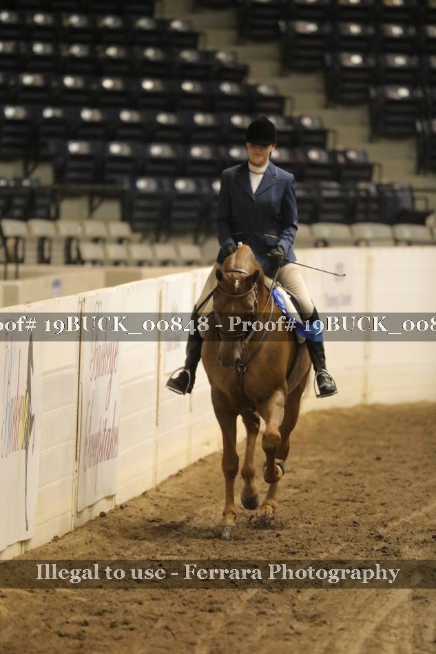 Proof 19BUCK_00848
