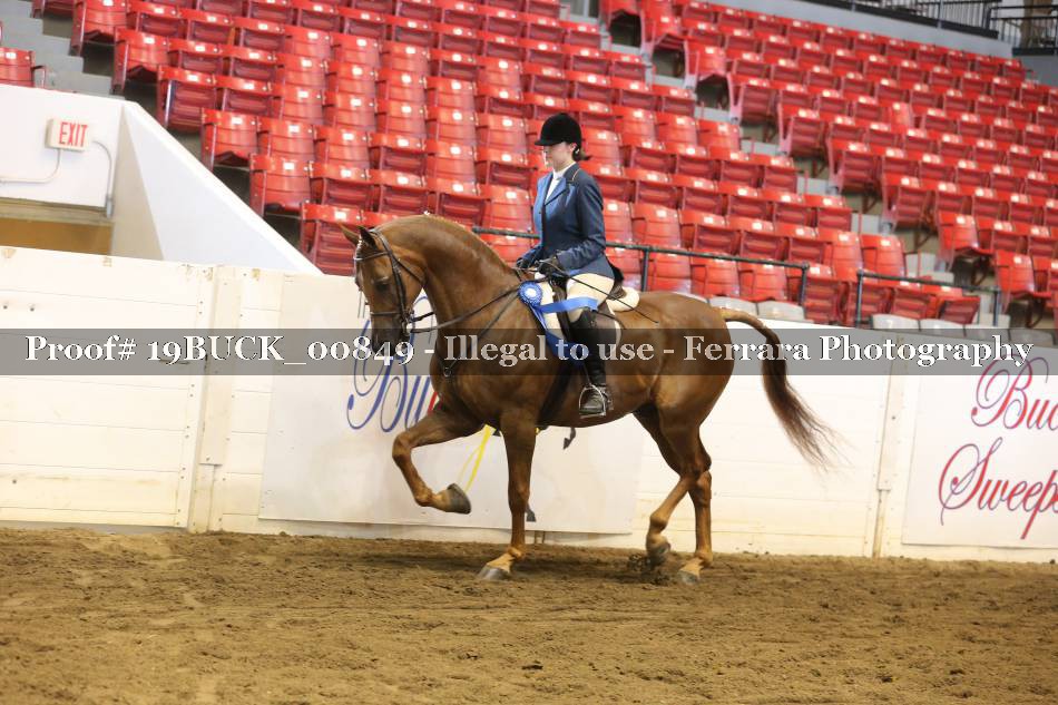 Proof 19BUCK_00849