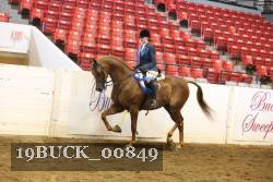 19BUCK_00849 proof