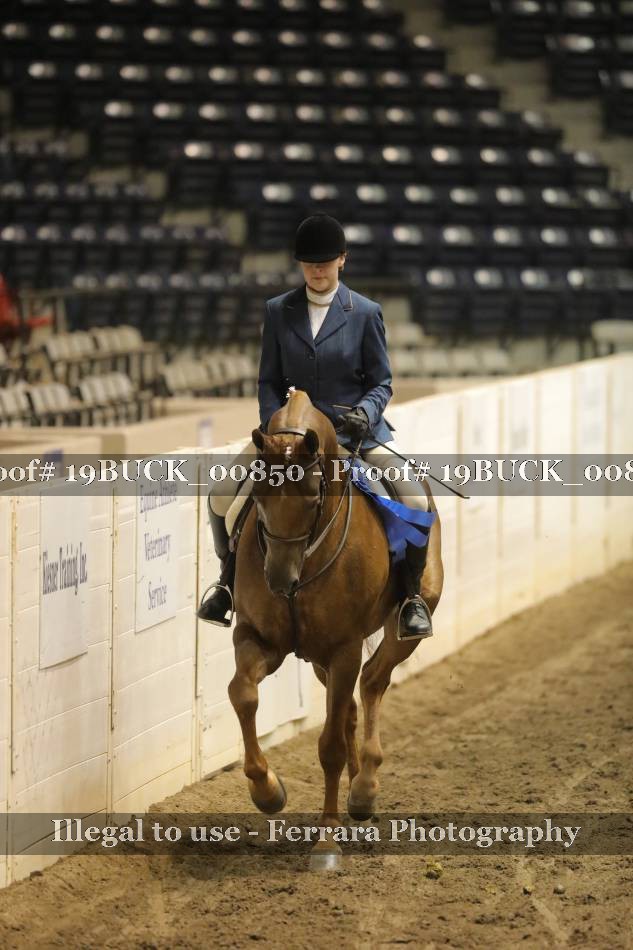 Proof 19BUCK_00850