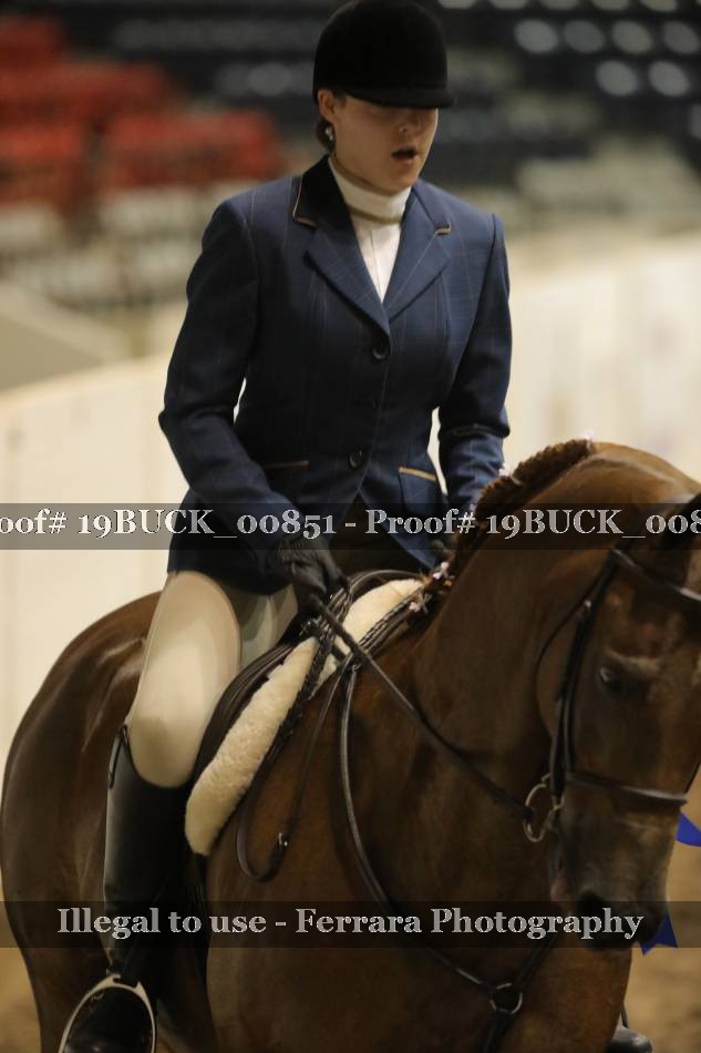 Proof 19BUCK_00851
