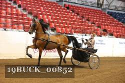 19BUCK_00852 proof