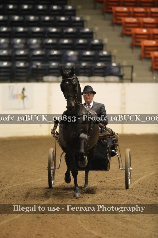 Proof 19BUCK_00853