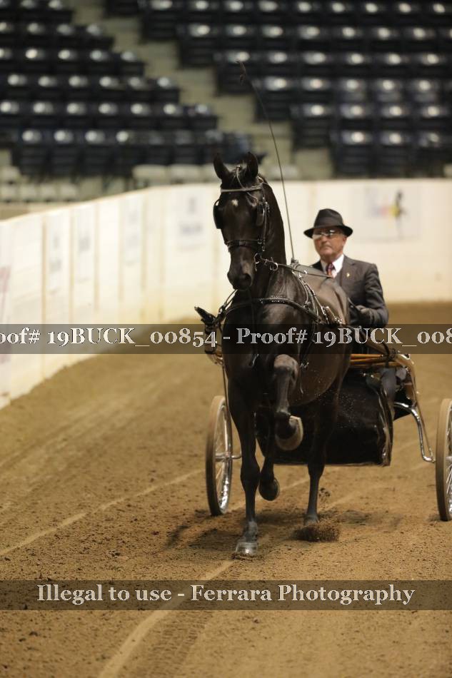 Proof 19BUCK_00854