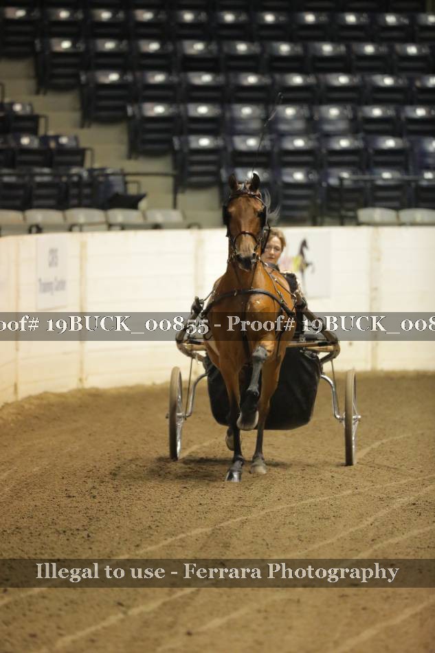 Proof 19BUCK_00855