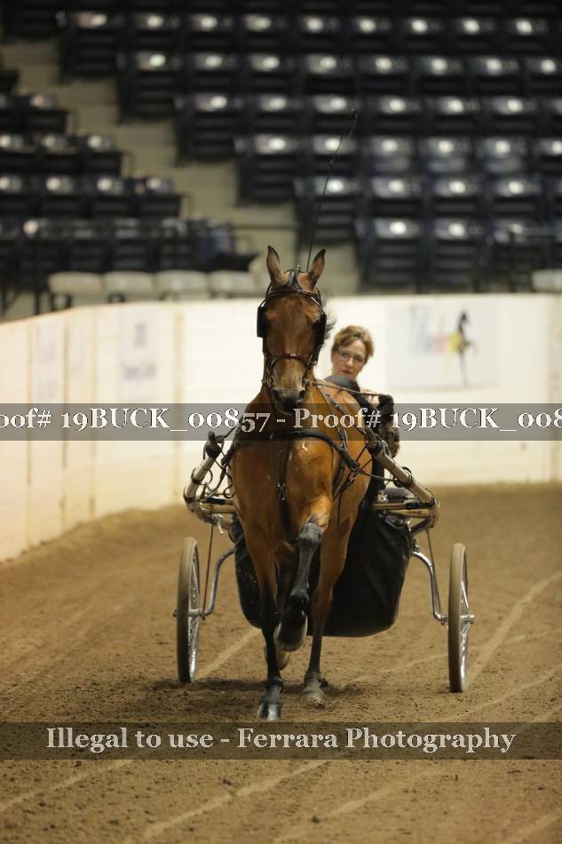 Proof 19BUCK_00857