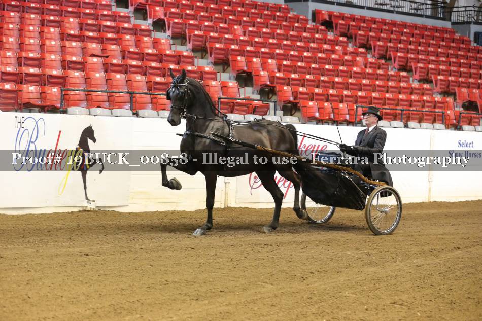 Proof 19BUCK_00858