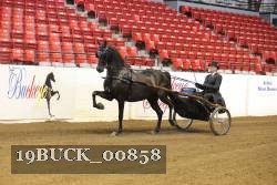 19BUCK_00858 proof