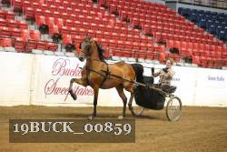 19BUCK_00859 proof
