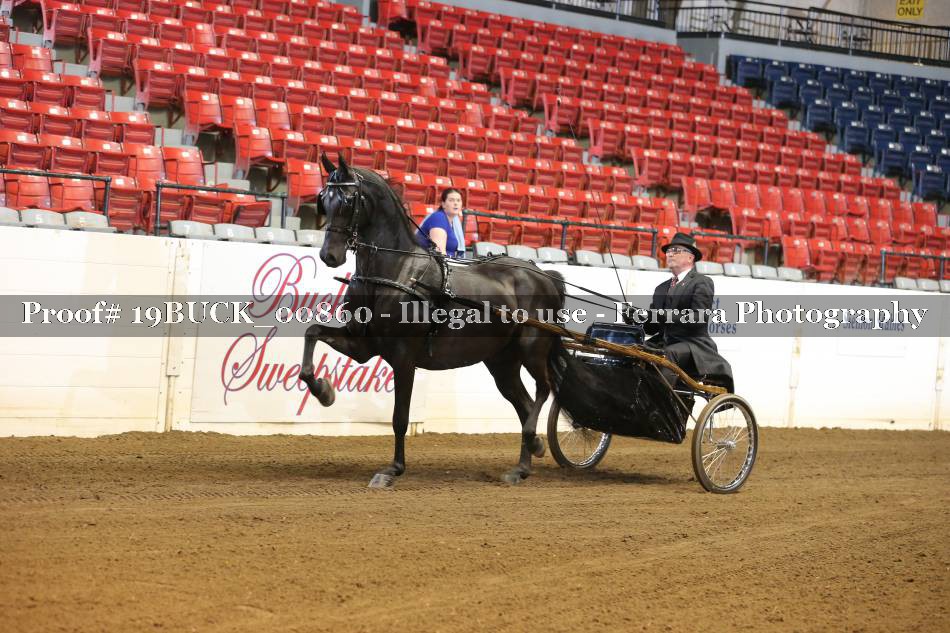 Proof 19BUCK_00860