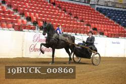 19BUCK_00860 proof