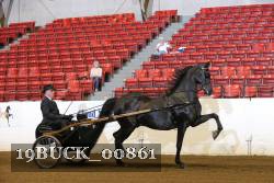 19BUCK_00861 proof
