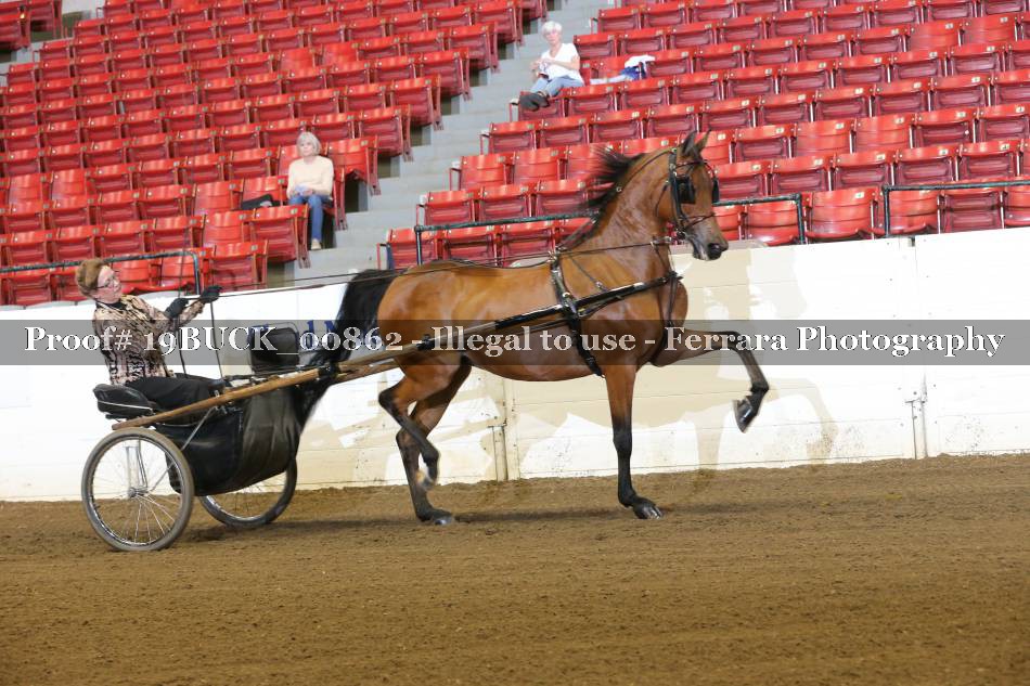 Proof 19BUCK_00862