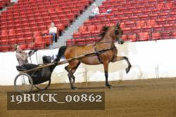 19BUCK_00862 proof