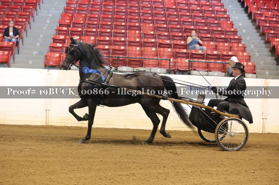 Proof 19BUCK_00866