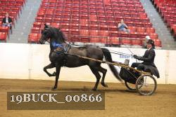 19BUCK_00866 proof