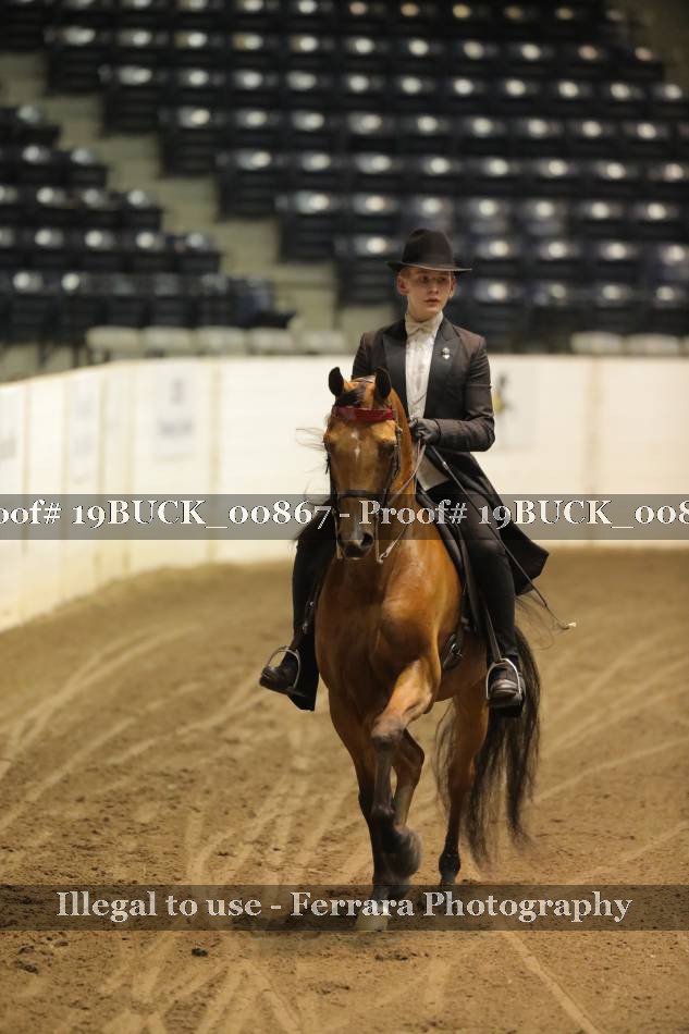 Proof 19BUCK_00867