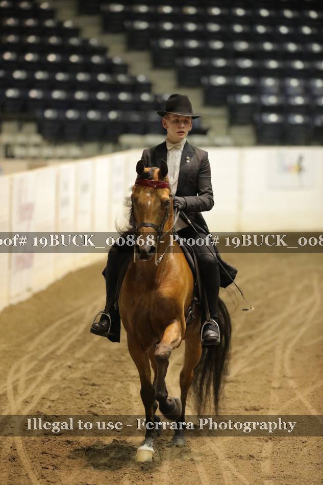 Proof 19BUCK_00868