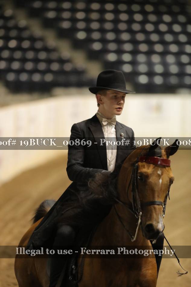 Proof 19BUCK_00869