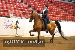 19BUCK_00870 proof