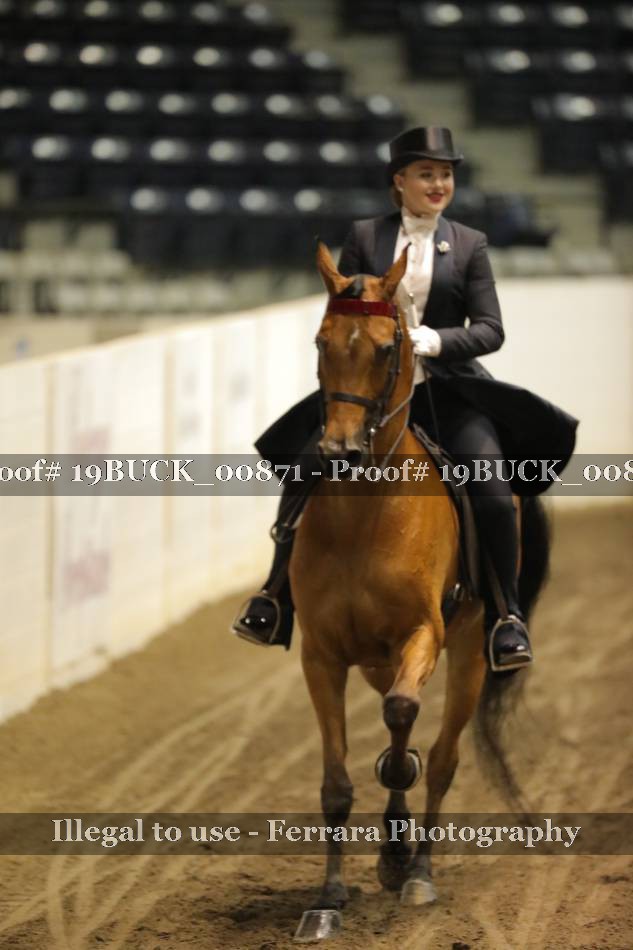 Proof 19BUCK_00871